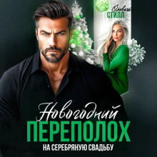 novogodniy perepoloh na serebryanuyu svadbu