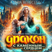 akademiya nevest popadanok i drakon s kamennym serdtsem 1766044585