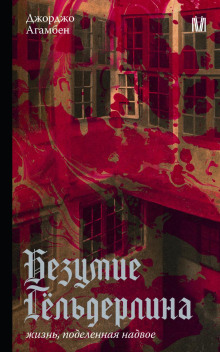 bezumie gyolderlina. zhizn podelennaya nadvoe 1765849289