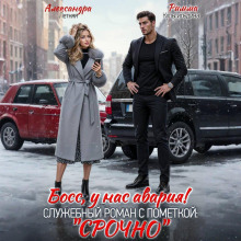 boss u nas avariya sluzhebnyy roman s pometkoy srochno 1766114873