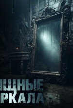 hischnye zerkala 1766899926