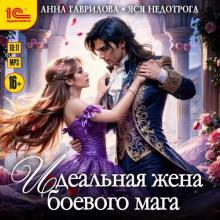 idealnaya zhena boevogo maga 1766374787
