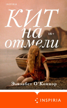 kit na otmeli 1765473525