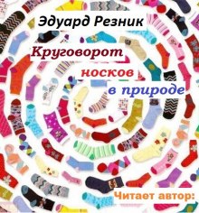 krugovorot noskov v prirode 1766461888