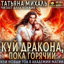kuy drakona poka goryachiy ili novyy god v akademii magii 1766357134