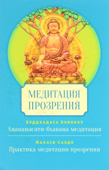 meditatsiya satipatthana i vipassana 1766824420