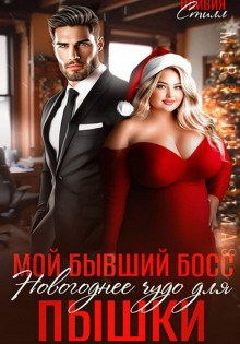 moy byvshiy boss. novogodnee chudo dlya pyshki 1765431631