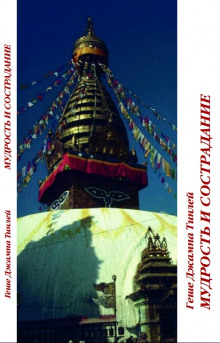 mudrost i sostradanie. meditatsiya na porozhdenie ravnostnosti 1766031078