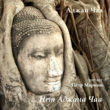 net adzhana chaa 1766114817