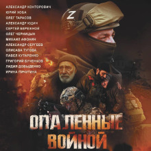 opalennye voynoy 1767168322