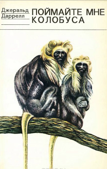 poymayte mne kolobusa 1766122025