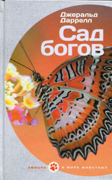 sad bogov 1766642471