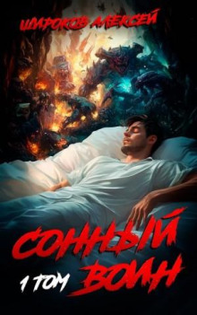 sonnyy voin 1765375645