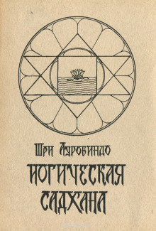 yogicheskaya sadhana 1766908883