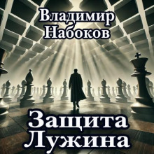 zaschita luzhina 1766022174