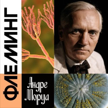 zhizn aleksandra fleminga 1767010574