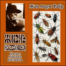 zhizn nasekomyh 1766569527