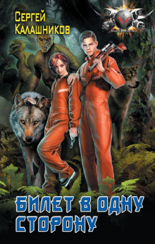 bilet v odnu storonu 1767708457