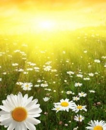 duhovnye poslaniya lyudyam 1767787605