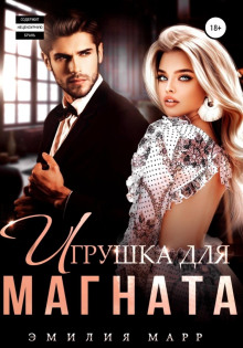 igrushka dlya magnata 1768964286