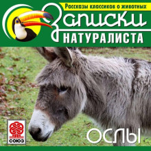 rasskazy klassikov o zhivotnyh. osly 1768374425