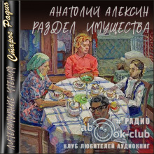 razdel imuschestva 1767225960