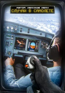 sluchay v samolyote 1769090323