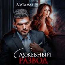 sluzhebnyy razvod 1769322145