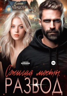 szhigaya mosty. razvod 1769559810