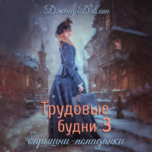 trudovye budni baryshni popadanki. kniga 3 1767632841