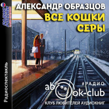 vse koshki sery 1768072112