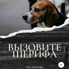 vyzovite sherifa 1769178208