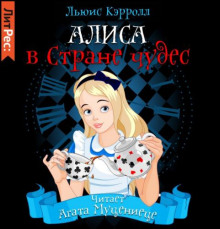 alisa v strane chudes 1769962070