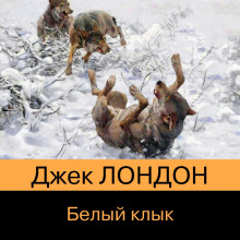 belyy klyk 1770505786