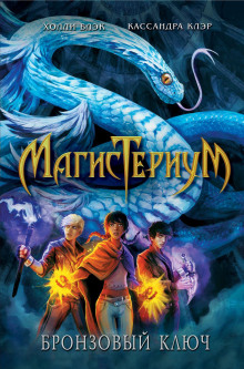 bronzovyy klyuch 1771816256