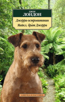 dzherri ostrovityanin 1771189674