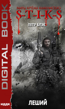 miry artyoma kamenistogo. s t i k s. leshiy 1772140170