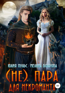 ne para dlya nekromanta 1770610049
