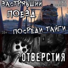 peregon otverstiya 1771971063