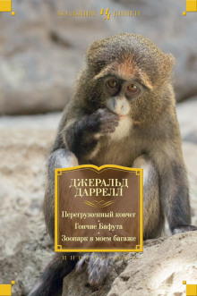 peregruzhennyy kovcheg 1772147423