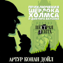 pestraya lenta 1770095467