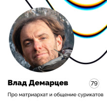 pro matriarhat i obschenie surikatov vlad demartsev 1770725238
