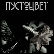 pustotsvet 1770240443