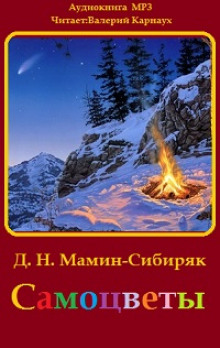 samotsvety 1772168849