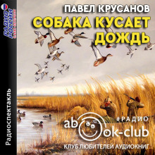 sobaka kusaet dozhd 1770883683