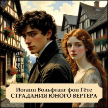 stradaniya yunogo vertera 1770908443