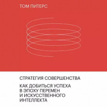 strategiya sovershenstva 1771621682
