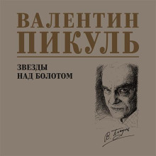 zvezdy nad bolotom 1771816143