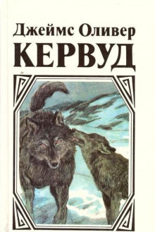 molnienosnyy 1772330909