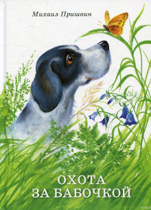ohota za babochkoy 1772503713